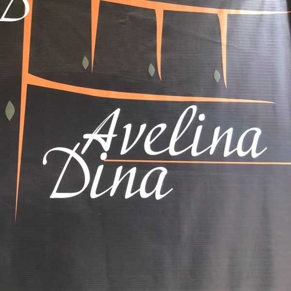 Avelina Dina